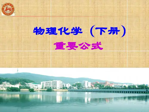 物理化学下册归纳精编版