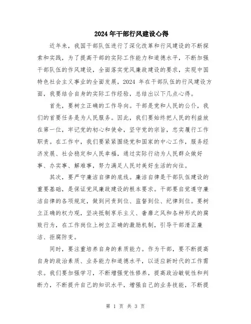 2024年干部行风建设心得