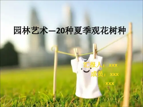 20种夏花树种