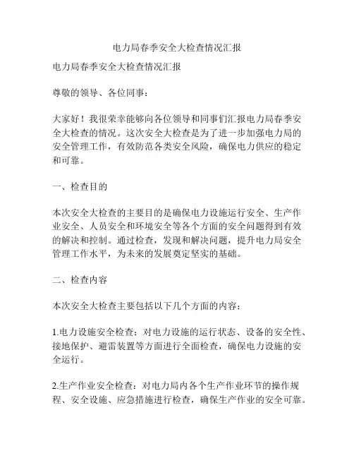 电力局春季安全大检查情况汇报