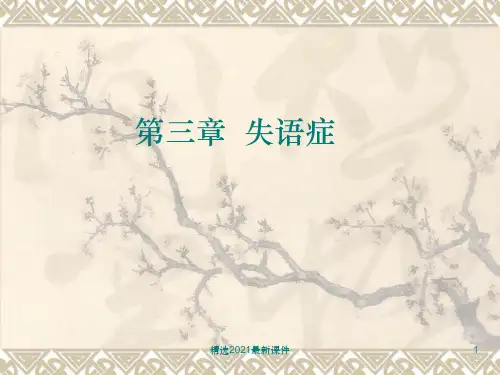 失语症的治疗PPT课件