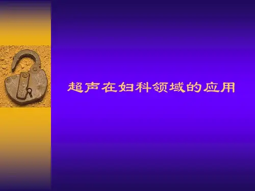 超声在妇科领域的应用PPT课件