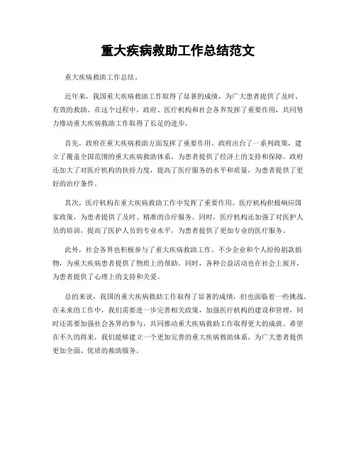 重大疾病救助工作总结范文