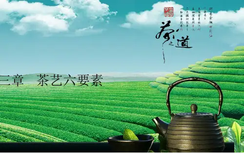 茶艺第三章-茶艺六要素