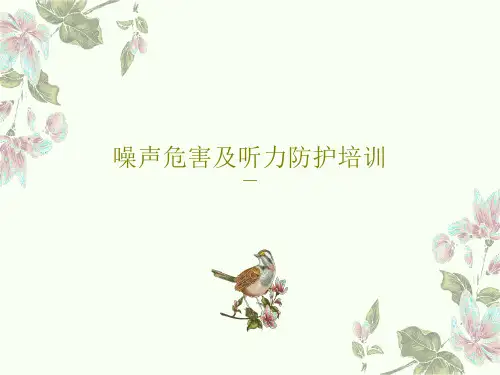 噪声危害及听力防护培训32页PPT