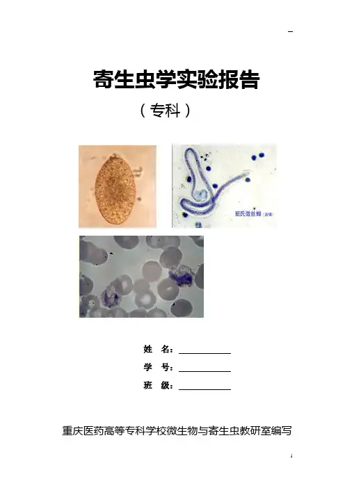 大专寄生虫实验报告