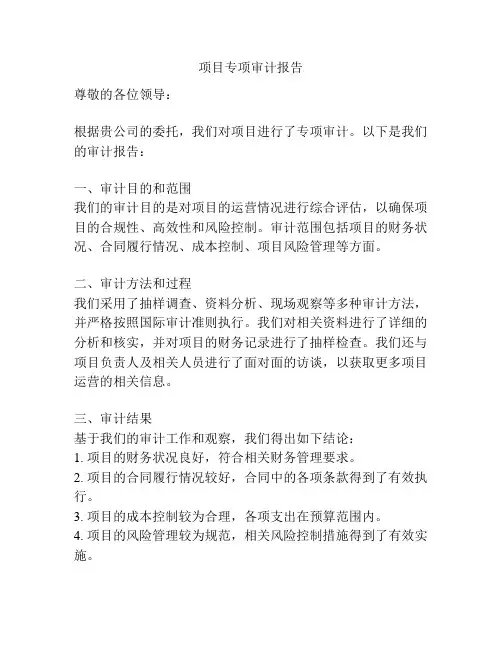 项目专项审计报告