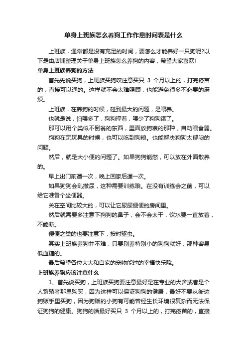 单身上班族怎么养狗工作作息时间表是什么