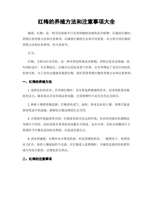 红梅的养殖方法和注意事项大全
