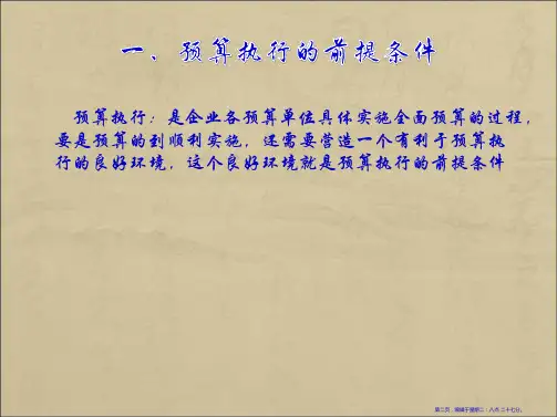 第十一章预算执行44页PPT