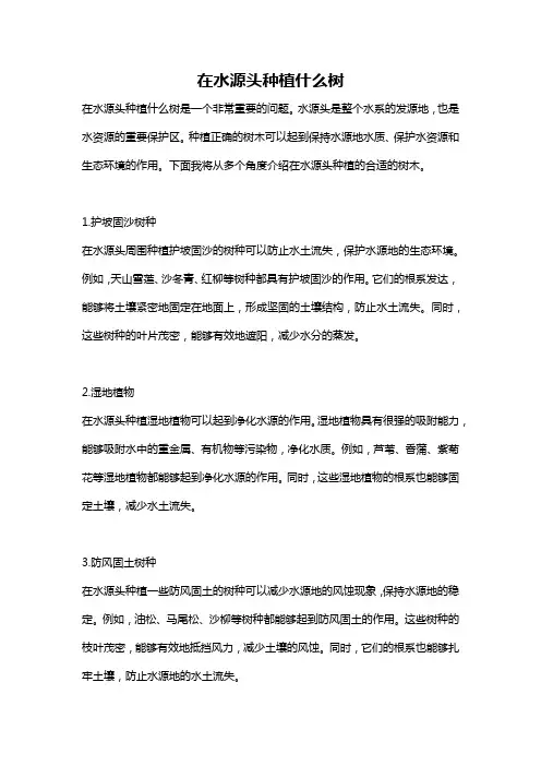 在水源头种植什么树