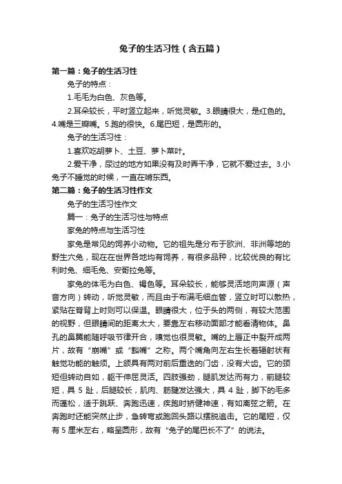 兔子的生活习性（含五篇）