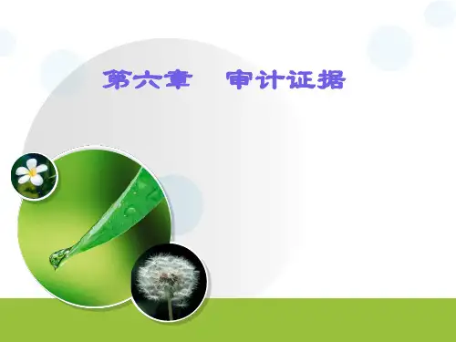 第六章 审计证据
