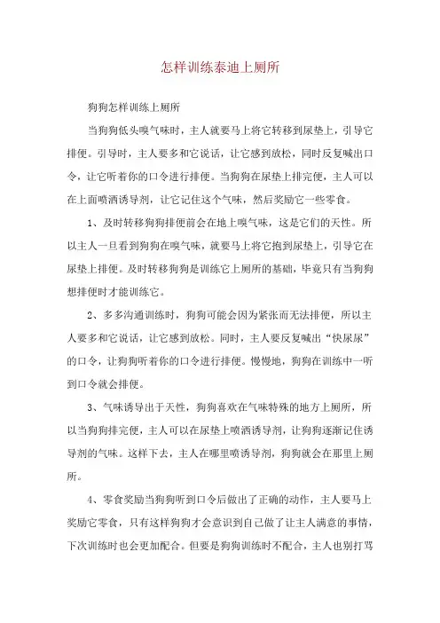 怎样训练泰迪上厕所