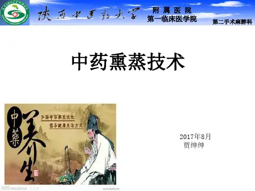 中药熏蒸技术