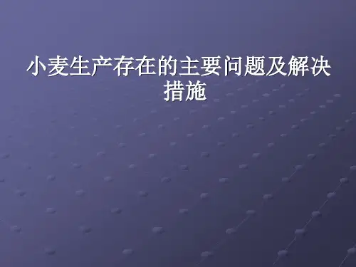 小麦生产存在的主要问题及解决的措施