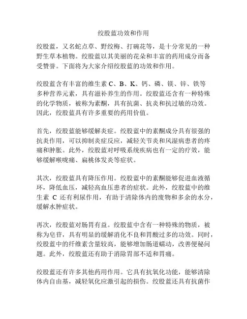 绞股蓝功效和作用