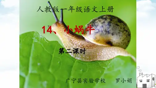 《小蜗牛》公开课PPT1
