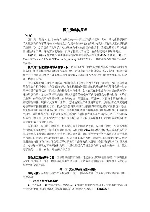 蛋白质结构原理