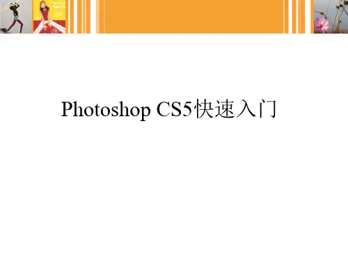Photoshop快速入门