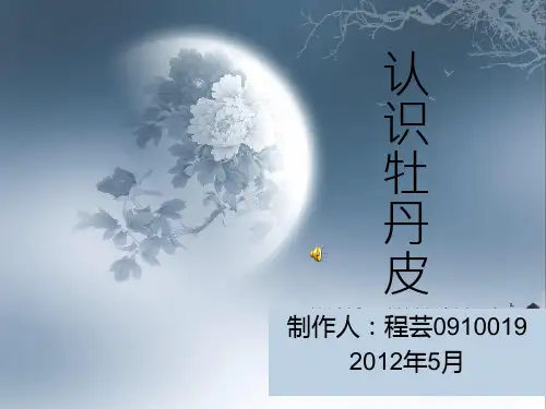 牡丹皮 PPT