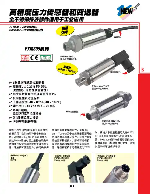 PXM309_CH 美国OMEGA仪器简介