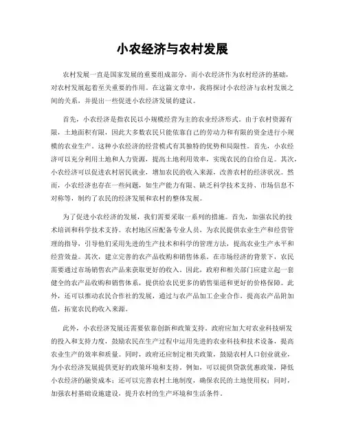 小农经济与农村发展