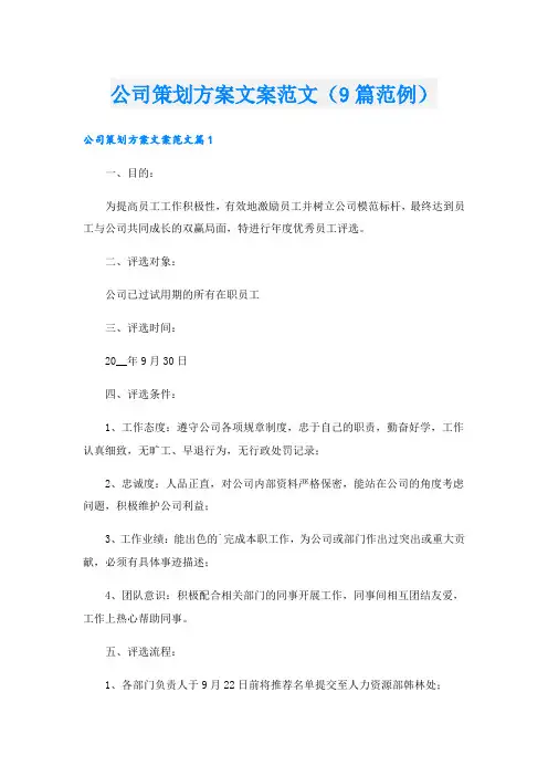 公司策划方案文案范文(9篇范例).doc