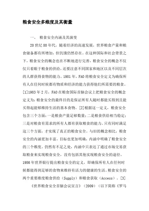 粮食安全多维度及其衡量-精品文档资料