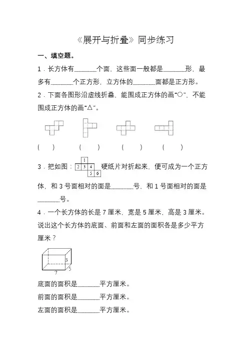《展开与折叠》同步练习