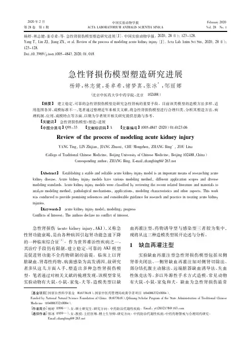 急性肾损伤模型塑造研究进展