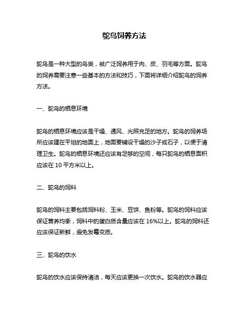 鸵鸟饲养方法
