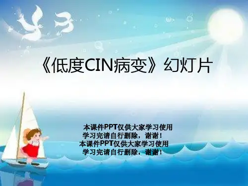 《低度CIN病变》幻灯片