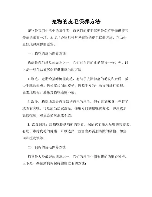 宠物的皮毛保养方法