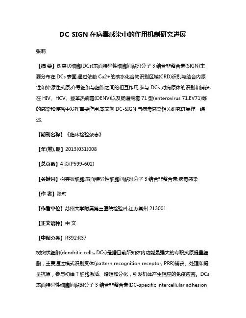 DC-SIGN在病毒感染中的作用机制研究进展
