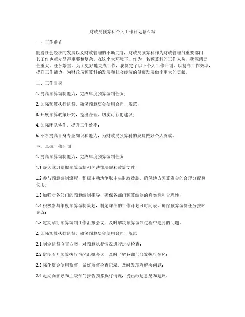 财政局预算科个人工作计划怎么写