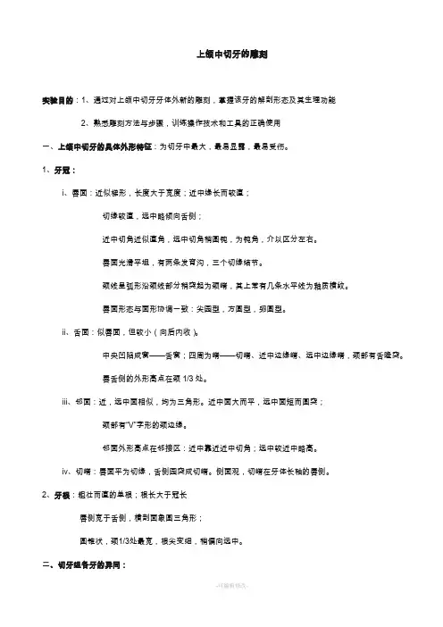 上颌中切牙的雕刻