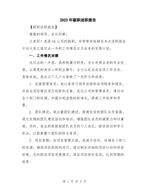 2023年副职述职报告
