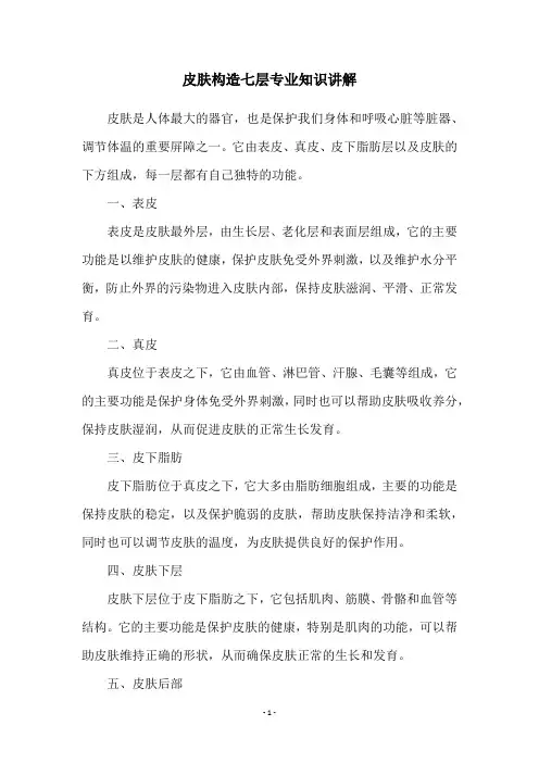 皮肤构造七层专业知识讲解
