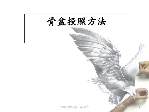 骨盆位投照方法 ppt课件