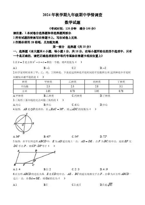 江苏省泰州市泰兴市2024-2025学年九年级上学期11月期中数学试题(含答案)