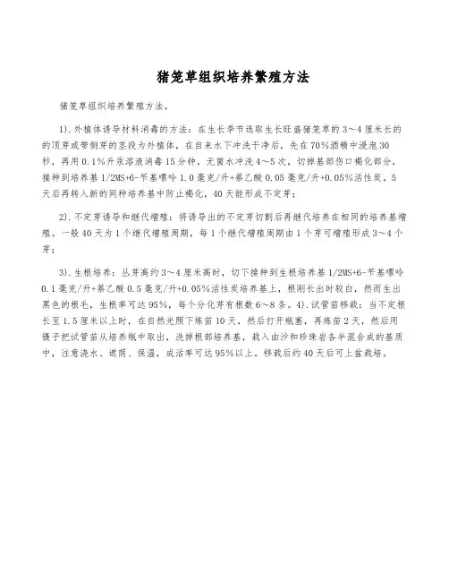 猪笼草组织培养繁殖方法