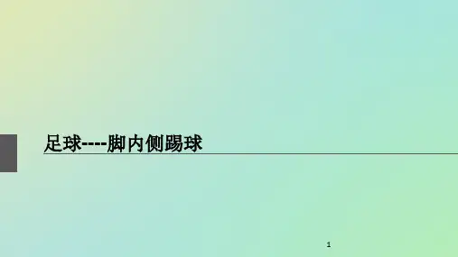 水平四(七年级)体育《足球-脚内侧踢球》说课课件
