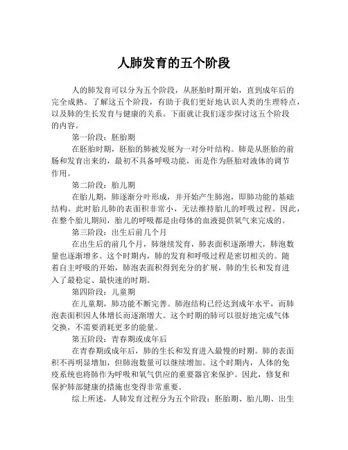 人肺发育的五个阶段