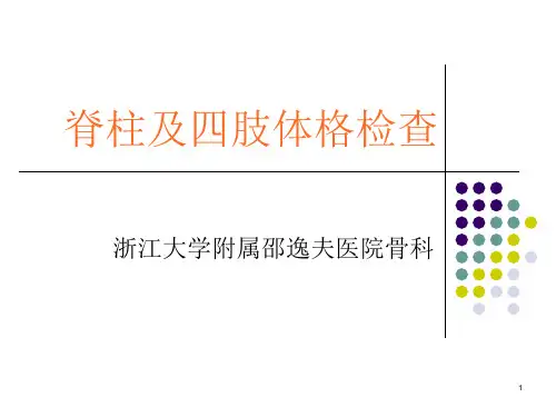 脊柱及四肢体格检查PPT课件