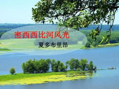 3.密西西比河风光