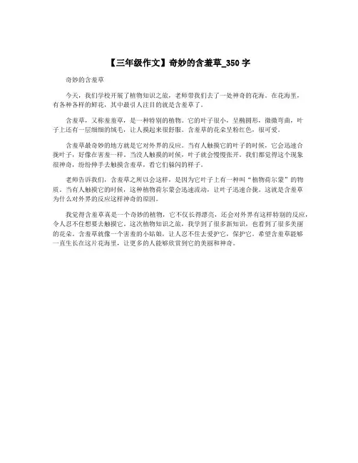 【三年级作文】奇妙的含羞草_350字