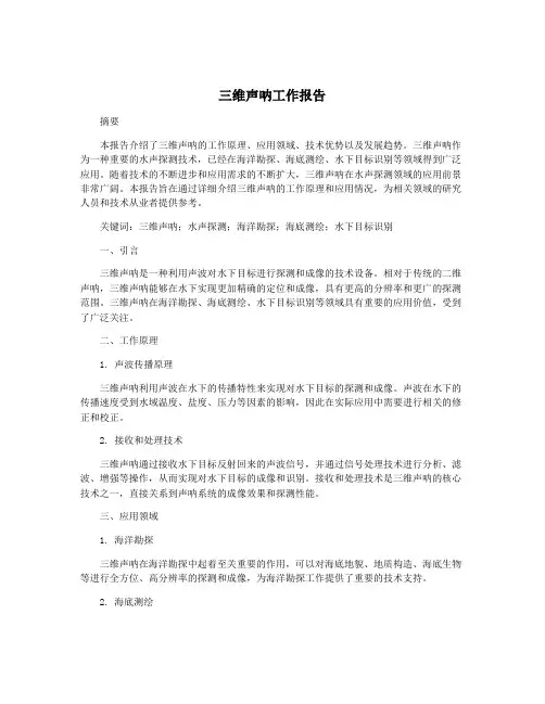 三维声呐工作报告