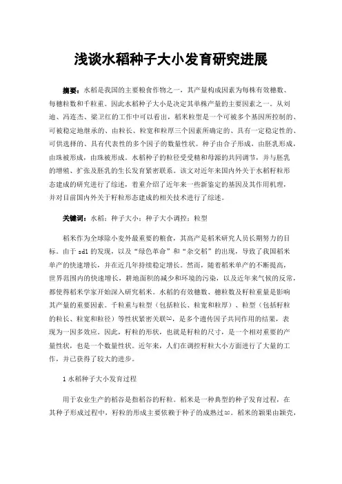 浅谈水稻种子大小发育研究进展