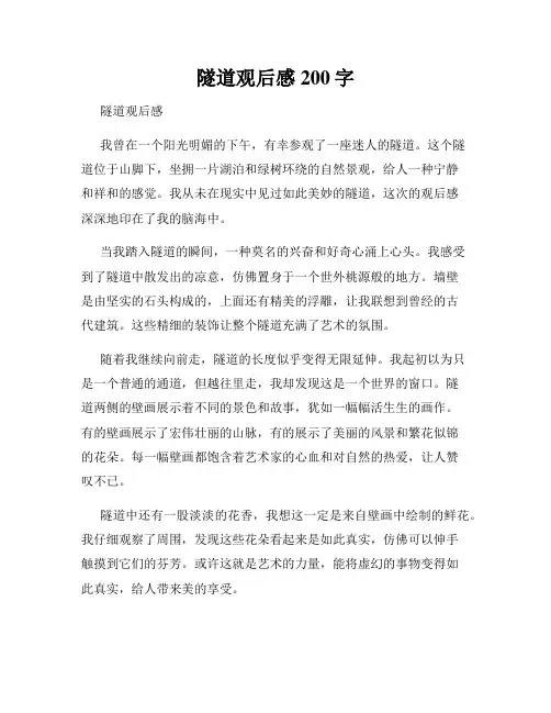 隧道观后感200字